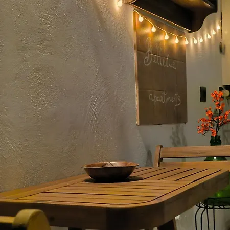 Bellevue Apartment *